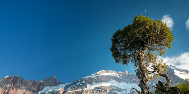 The Fann Mountains